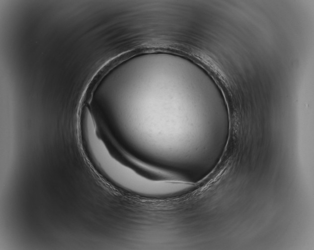 X0000092300976200710121444