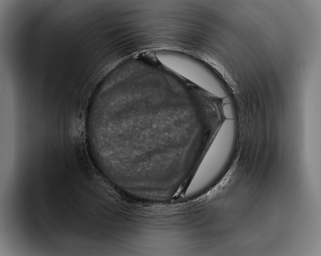 X0000092300977200710121444