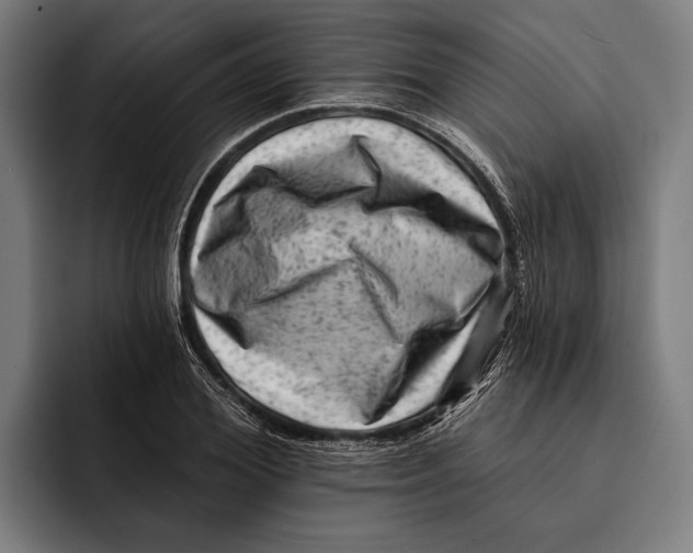 X0000092300980200710121444