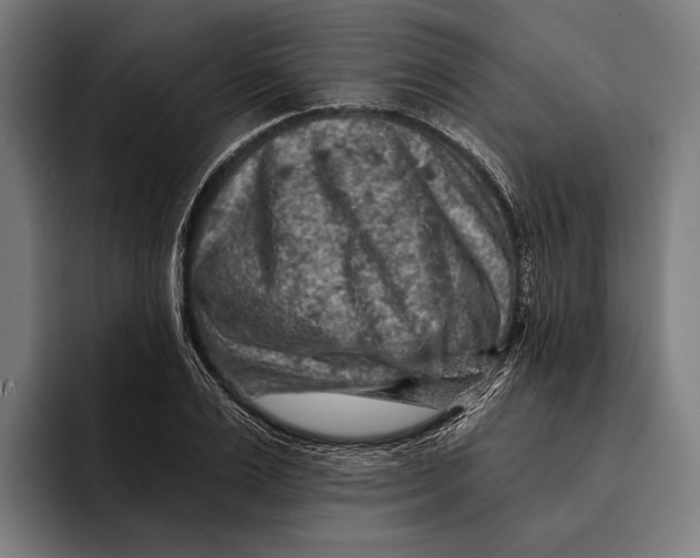 X0000092300983200710121444