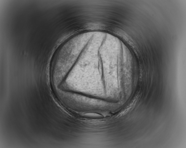 X0000092300986200710121444