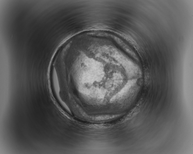 X0000092300990200710121444