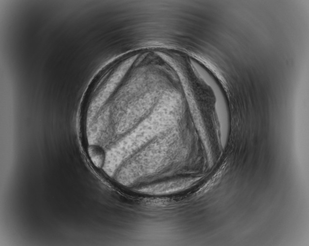 X0000092300991200710121443