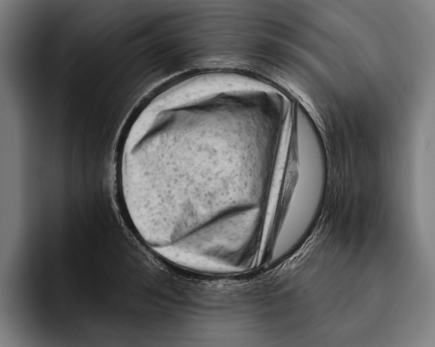 X0000092300992200710121443