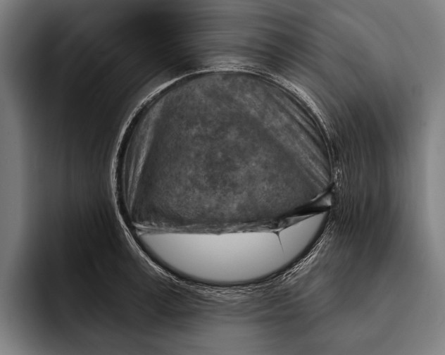 X0000092300995200710121443