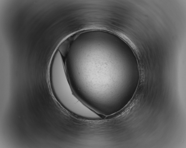 X0000092300996200710121443