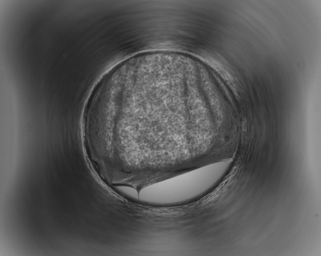 X0000092300998200710121443