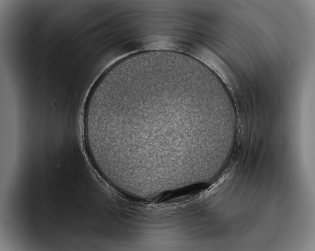 X0000092301000200710121443