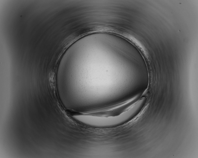 X0000092301001200710121443