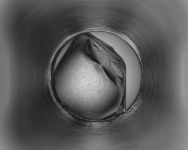 X0000092301005200710121443