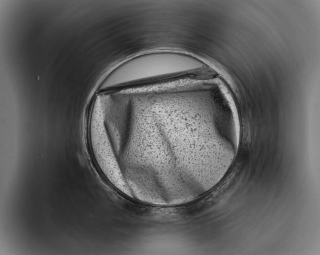 X0000092301006200710121443