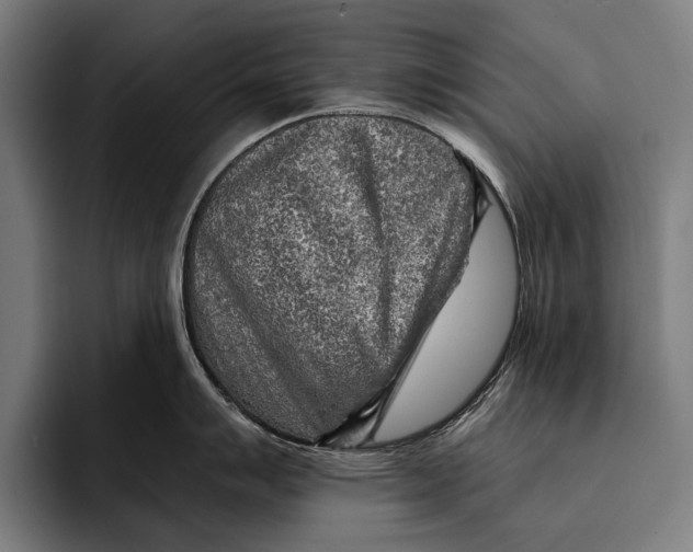 X0000092301007200710121443