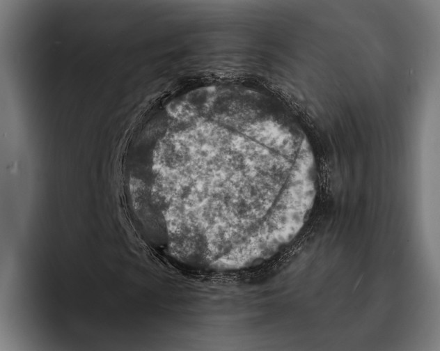 X0000092301009200710121443