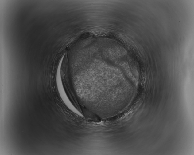 X0000092301010200710121443