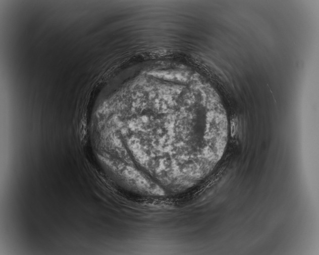 X0000092301011200710121443