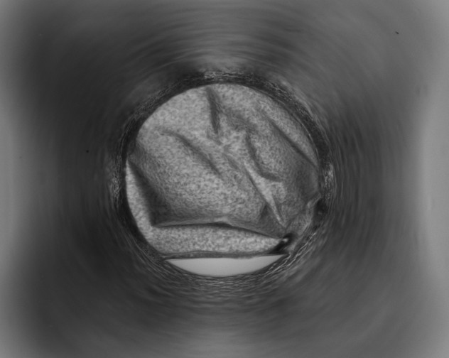 X0000092301012200710121443