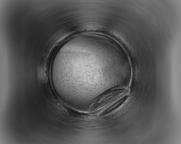 X0000092301018200710121443