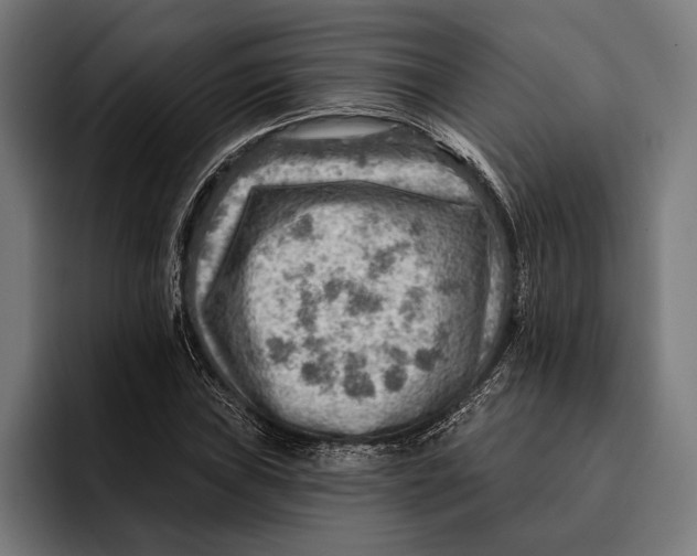 X0000092301019200710121443