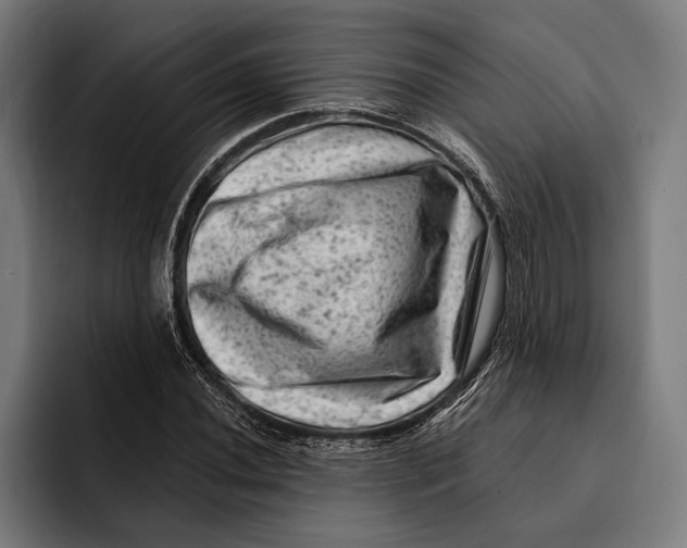 X0000092301020200710121443