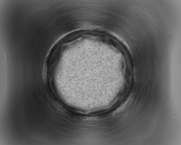 X0000092301021200710121443