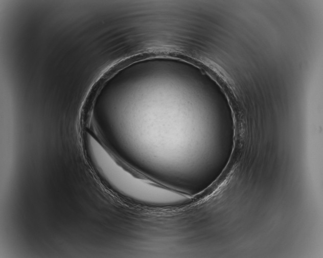 X0000092301022200710121443