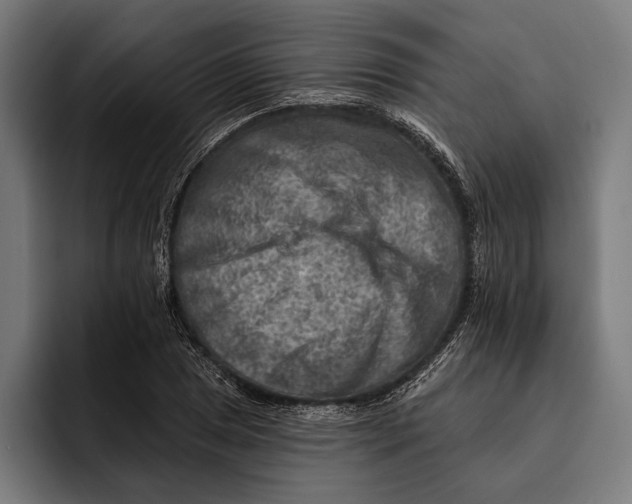 X0000092301025200710121443