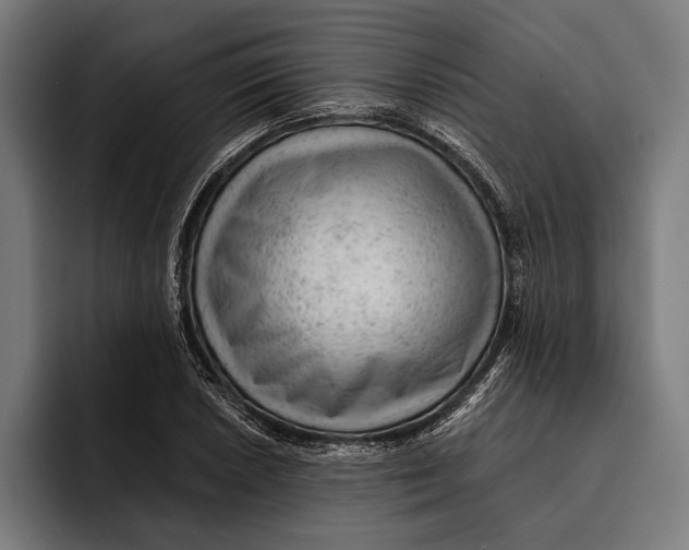 X0000092301026200710121443