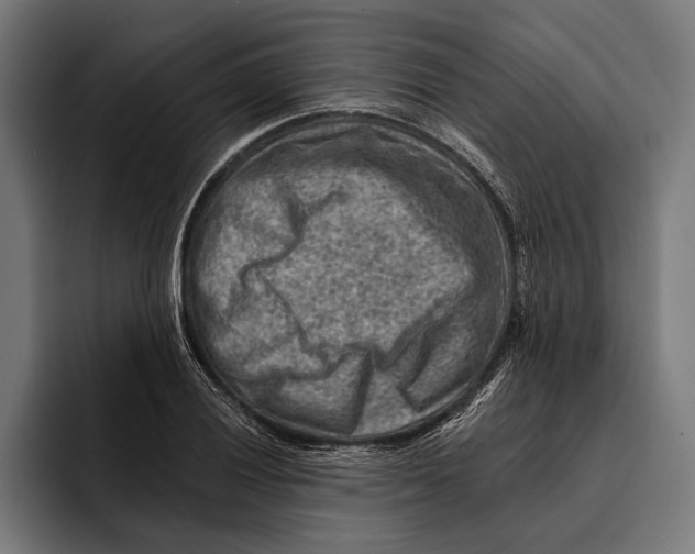 X0000092301028200710121443