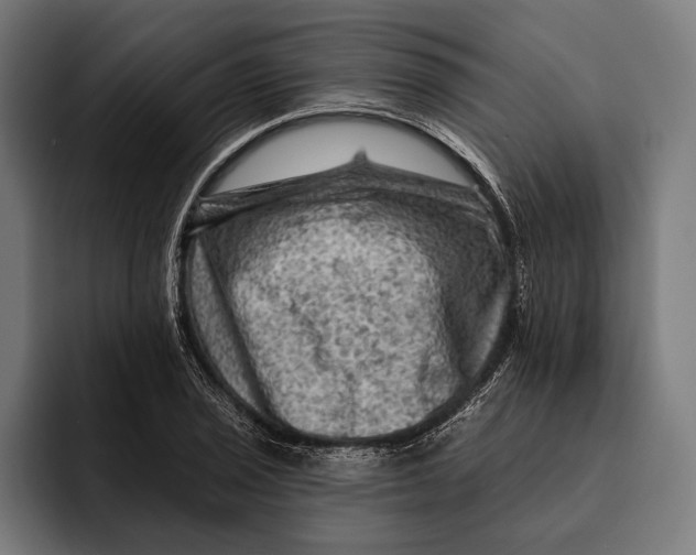 X0000092301029200710121443