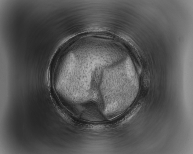 X0000092301030200710121443