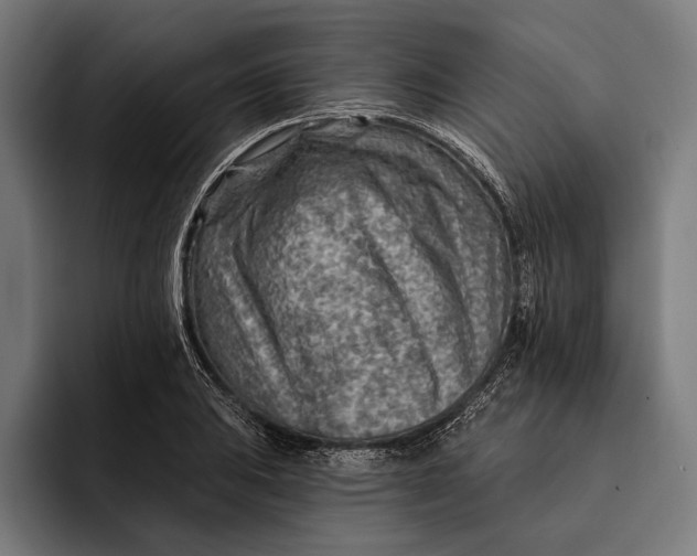 X0000092301031200710121443