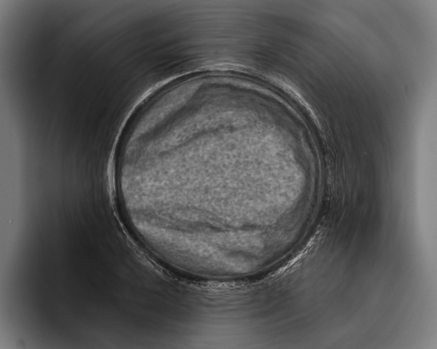 X0000092301032200710121443