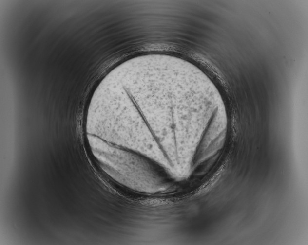 X0000092301033200710121443