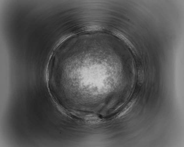 X0000092301034200710121443