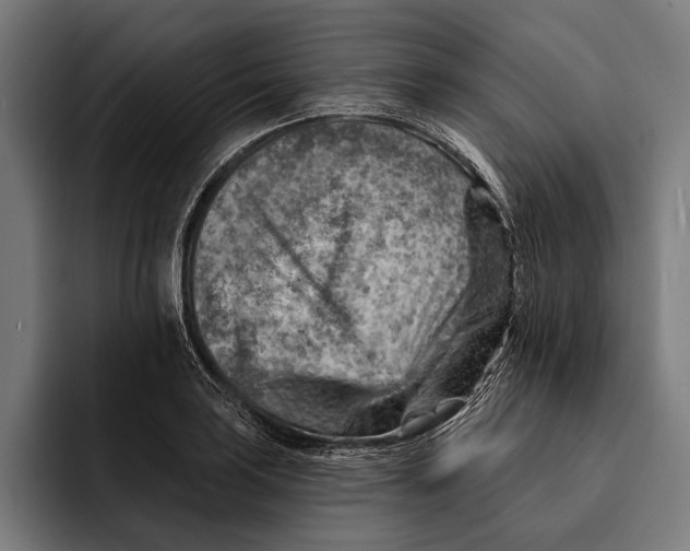 X0000092301035200710121443