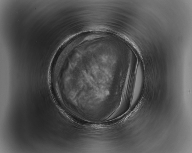 X0000092301037200710121443