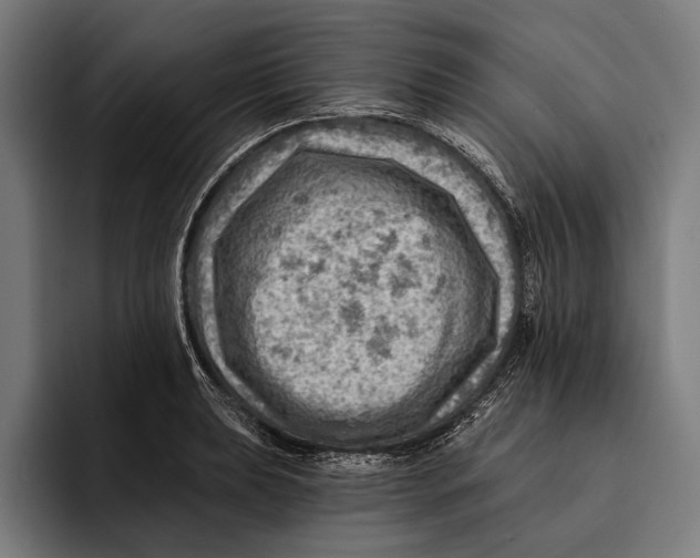 X0000092301039200710121443