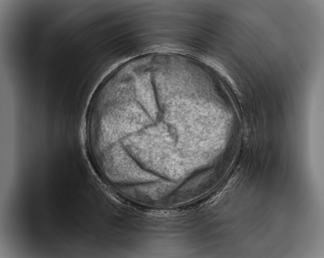 X0000092301040200710121443