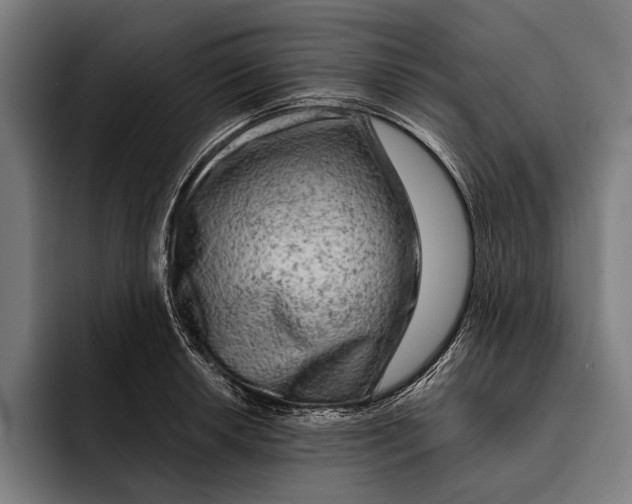 X0000092301042200710121443