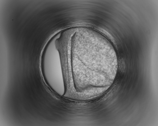 X0000092301043200710121443