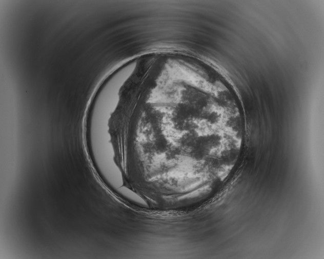 X0000092301045200710121443