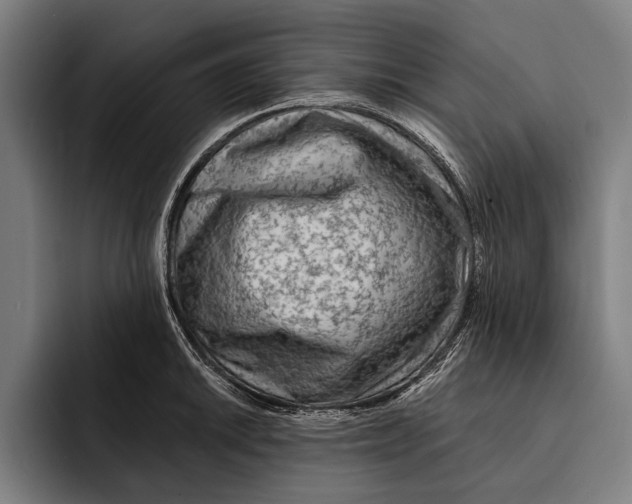 X0000092301046200710121443