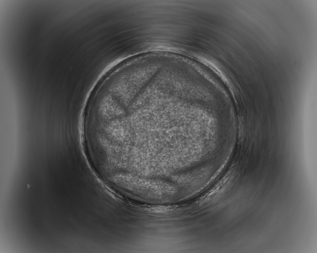 X0000092301048200710121443