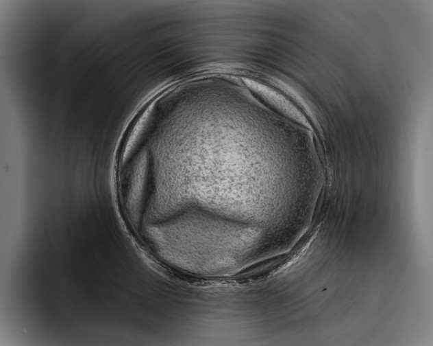 X0000092301050200710121443