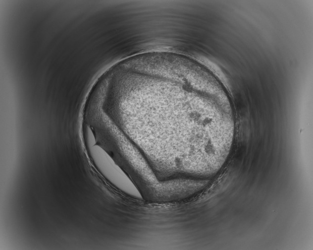 X0000092301051200710121443