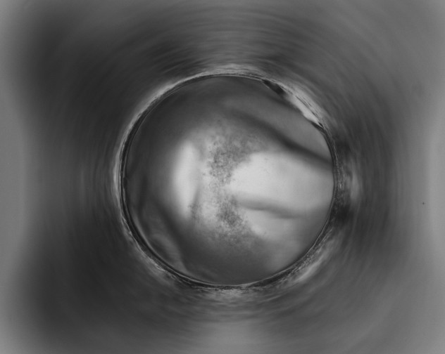 X0000092301054200710121443