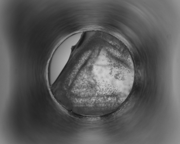 X0000092301055200710121443