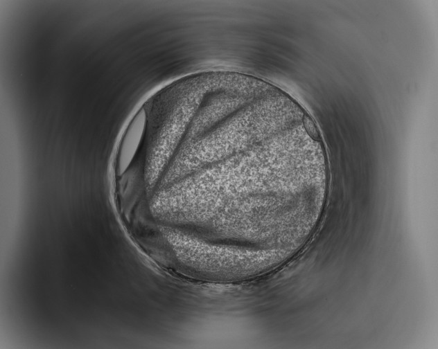 X0000092301056200710121443