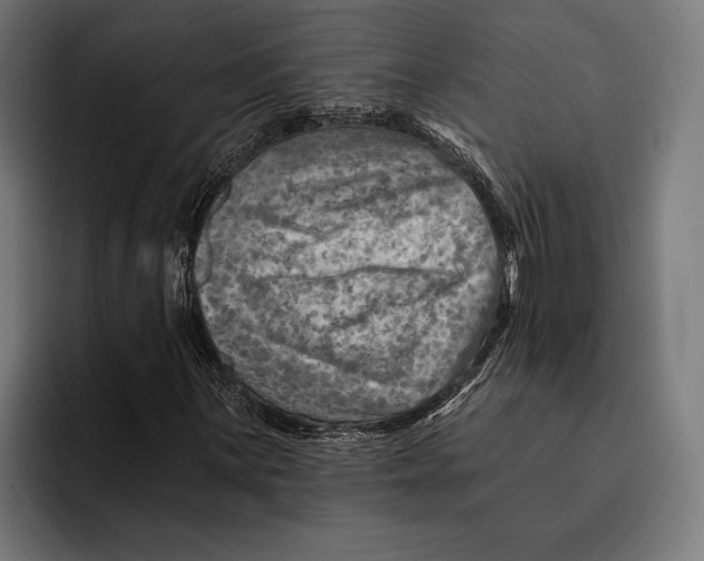 X0000092301059200710121443