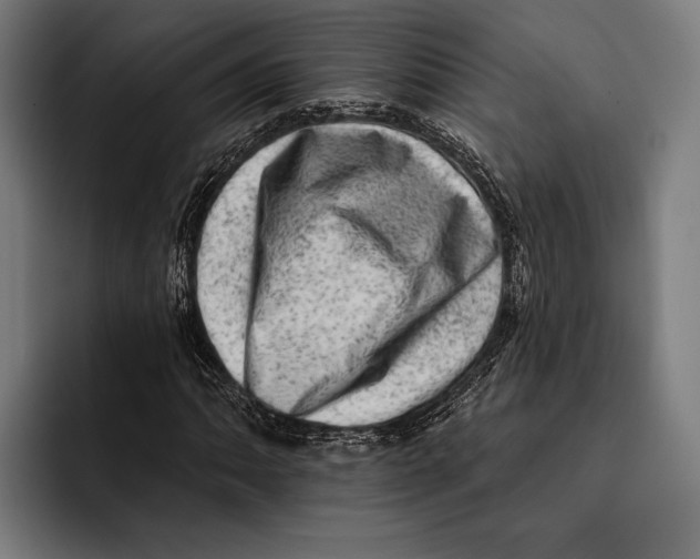 X0000092301062200710121443